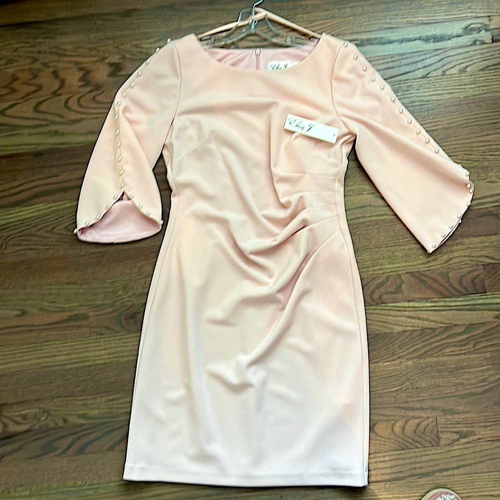 BNWT Eliza J Pale Pink Crepe de Chine Pearl Detail Dress